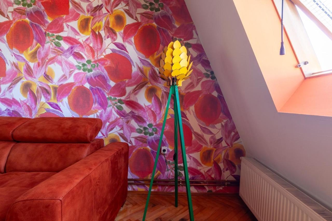 Apartment Amore Mio Golubac Zewnętrze zdjęcie