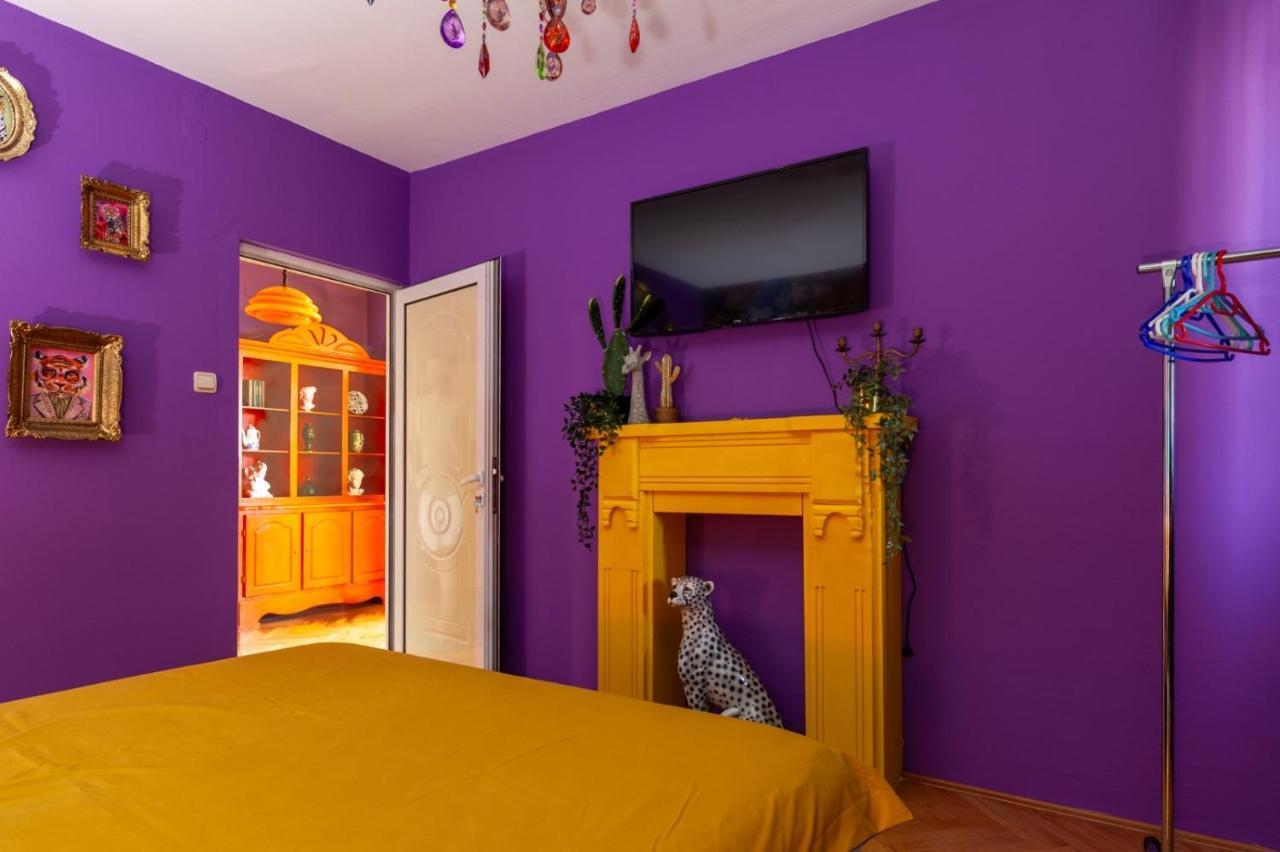 Apartment Amore Mio Golubac Zewnętrze zdjęcie
