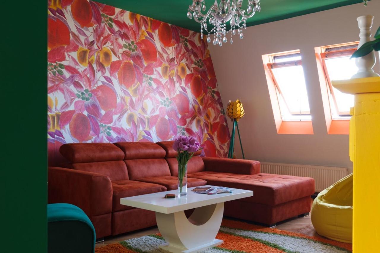 Apartment Amore Mio Golubac Zewnętrze zdjęcie